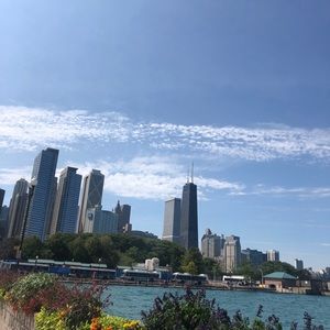 Meet your Posher, Elsa